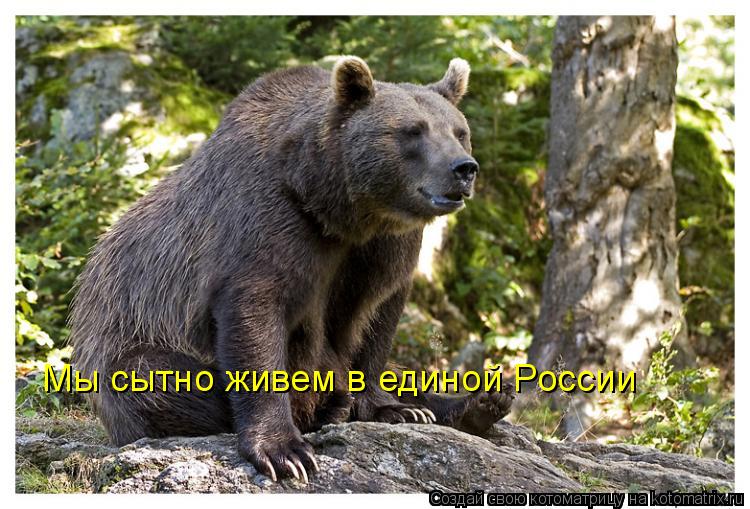 Мы сытно живем в единой России... Котоматрица: Мы сытно живем в единой России