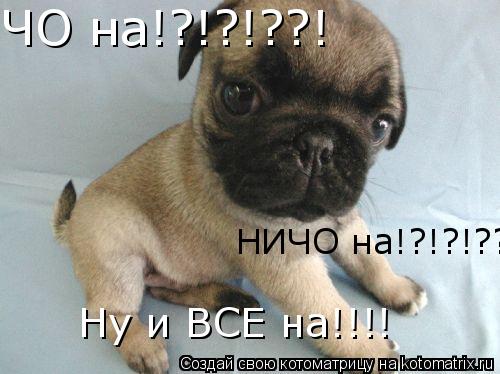 ЧО на!?!?!??! НИЧО на!?!?!??! Ну и ВСЕ на!!!!... Котоматрица: ЧО на!?!?!??! НИЧО на!?!?!??! Ну и ВСЕ на!!!!