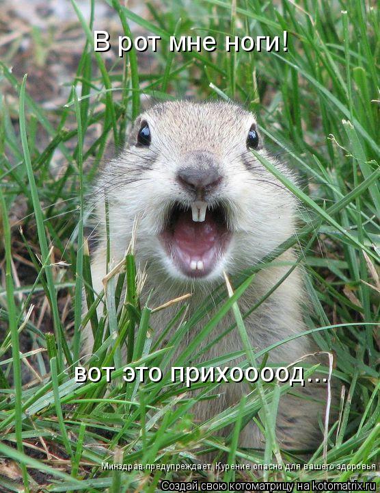 В рот мне ноги! вот это прихоооод... Минздрав предупреждает. Курение опасно для вашего здоровья... Котоматрица: В рот мне ноги! вот это прихоооод... Минздрав предупреждает. Курение опасно для вашего здоровья