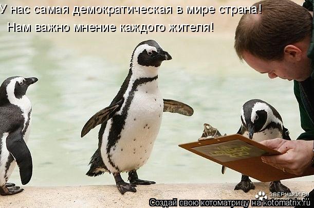У нас самая демократическая в мире страна! Нам важно мнение каждого жителя!... Котоматрица: У нас самая демократическая в мире страна! Нам важно мнение каждого жителя!