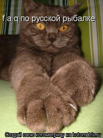 f.a.q по русской рыбалке... Котоматрица: f.a.q по русской рыбалке