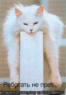 Работать не прет...... Котоматрица: Работать не прет...