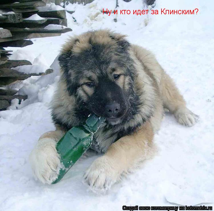 Ну и кто идет за Клинским?... Котоматрица: Ну и кто идет за Клинским?