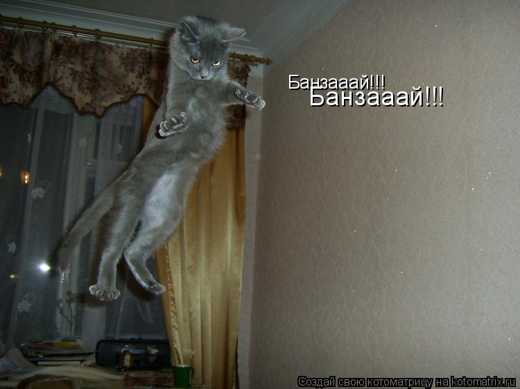 Банзааай!!! Банзааай!!!... Котоматрица: Банзааай!!! Банзааай!!!