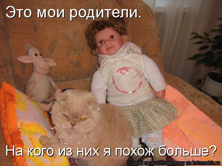 Это мои родители. На кого из них я похож больше?... Котоматрица: Это мои родители. На кого из них я похож больше?