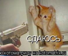 СДАЮСЬ... Котоматрица: СДАЮСЬ