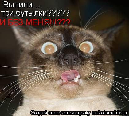 Выпили.... три бутылки????? И БЕЗ МЕНЯ!!!???... Котоматрица: Выпили.... три бутылки????? И БЕЗ МЕНЯ!!!???