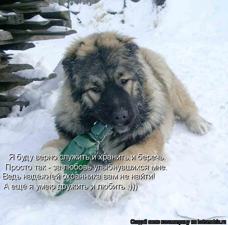 Я буду верно служить,и хранить,и беречь. Просто так - за любовь улыбнувшихся мне. Ведь надёжней охран... Котоматрица: Я буду верно служить,и хранить,и беречь. Просто так - за любовь улыбнувшихся мне. Ведь надёжней охранника вам не найти! А ещё я умею дружить и