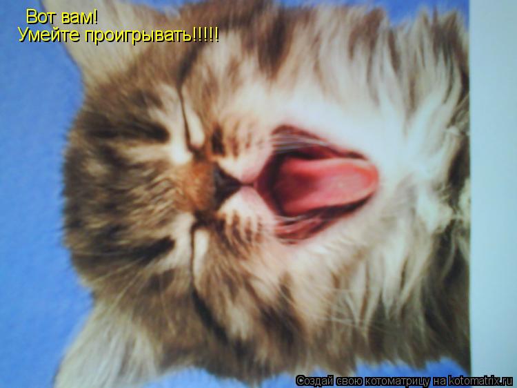 Вот вам! Умейте проигрывать!!!!!... Котоматрица: Вот вам! Умейте проигрывать!!!!!