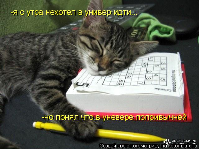 -я с утра нехотел в универ идти... -но понял что в уневере попривычней... Котоматрица: -я с утра нехотел в универ идти... -но понял что в уневере попривычней