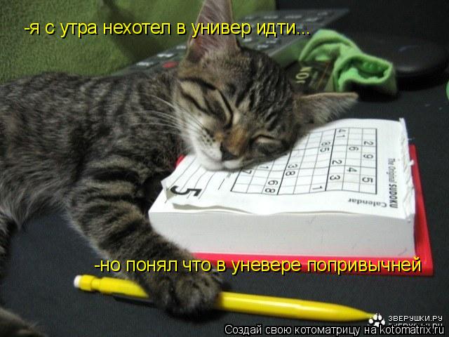 Котоматрица: -я с утра нехотел в универ идти... -но понял что в уневере попривычней