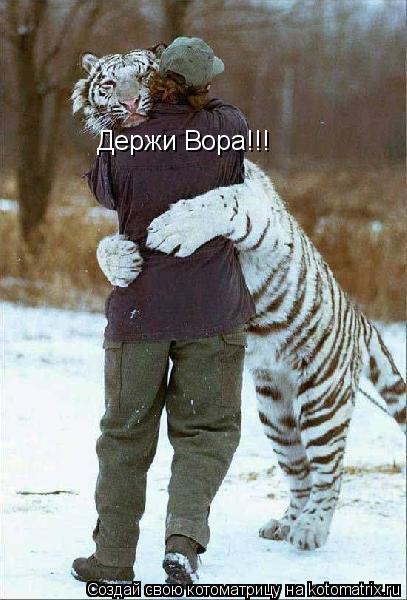 Держи Вора!!!... Котоматрица: Держи Вора!!!