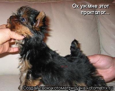 Ох уж мне этот проктолог...... Котоматрица: Ох уж мне этот проктолог...