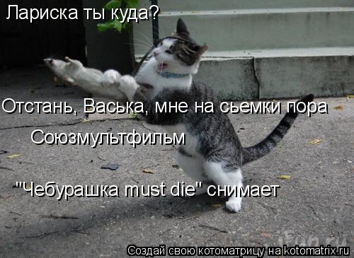 Лариска ты куда? Отстань, Васька, мне на сьемки пора "Чебурашка must die" снимает Союзмультфильм... Котоматрица: Лариска ты куда? Отстань, Васька, мне на сьемки пора "Чебурашка must die" снимает Союзмультфильм