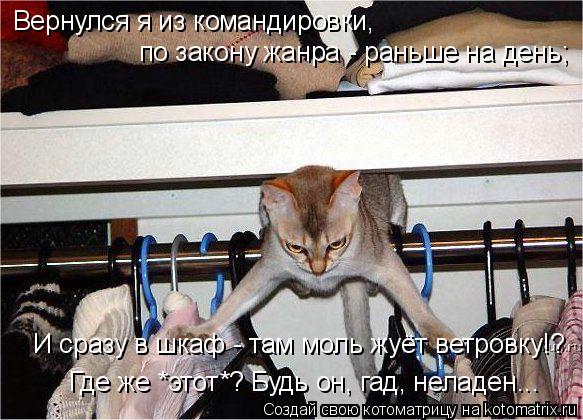 Вернулся я из командировки, Где же *этот*? Будь он, гад, неладен... И сразу в шкаф - там моль жуёт... Котоматрица: Вернулся я из командировки, Где же *этот*? Будь он, гад, неладен... И сразу в шкаф - там моль жуёт ветровку!? по закону жанра - раньше на день;