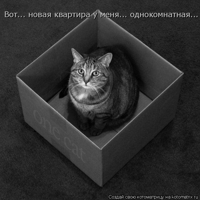 Вот... новая квартира у меня... однокомнатная...... Котоматрица: Вот... новая квартира у меня... однокомнатная...