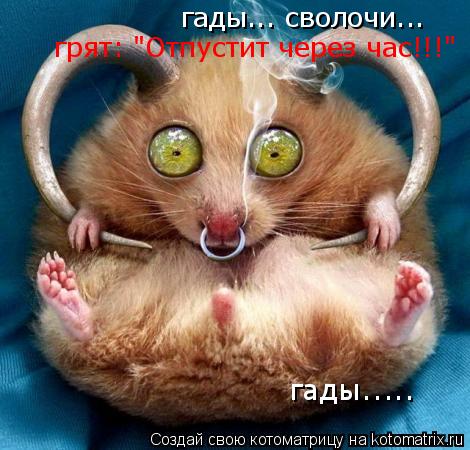 гады... сволочи... грят: "Отпустит через час!!!" гады........ Котоматрица: гады... сволочи... грят: "Отпустит через час!!!" гады.....