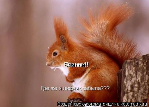 Блиннн!!... Котоматрица: Блиннн!!