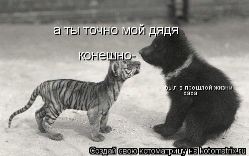 а ты точно мой дядя конешно- был в прошлой жизни хаха... Котоматрица: а ты точно мой дядя конешно- был в прошлой жизни хаха