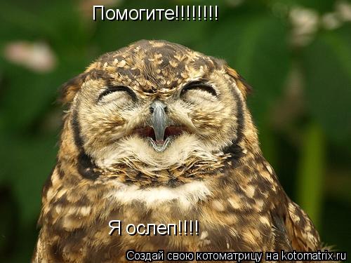 Помогите!!!!!!!! Я ослеп!!!!... Котоматрица: Помогите!!!!!!!! Я ослеп!!!!