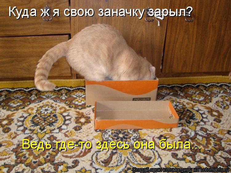 Куда ж я свою заначку зарыл? Ведь где-то здесь она была...... Котоматрица: Куда ж я свою заначку зарыл? Ведь где-то здесь она была...