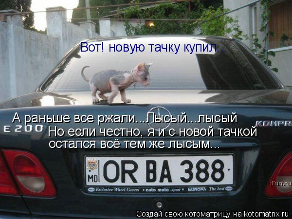 Вот! новую тачку купил... А раньше все ржали...Лысый...лысый Но если честно, я и с новой тачкой ос... Котоматрица: Вот! новую тачку купил... А раньше все ржали...Лысый...лысый Но если честно, я и с новой тачкой остался всё тем же лысым...