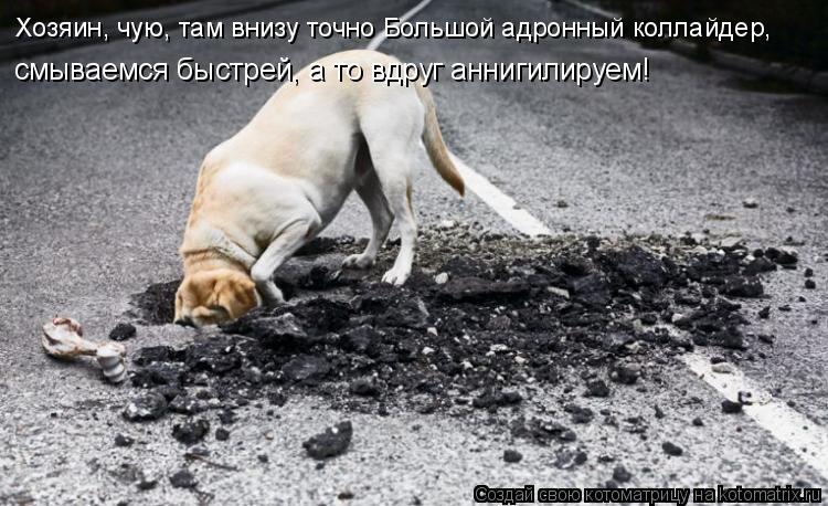 смываемся быстрей, а то вдруг аннигилируем! Хозяин, чую, там внизу точно Большой адронный коллайдер,... Котоматрица: смываемся быстрей, а то вдруг аннигилируем! Хозяин, чую, там внизу точно Большой адронный коллайдер,