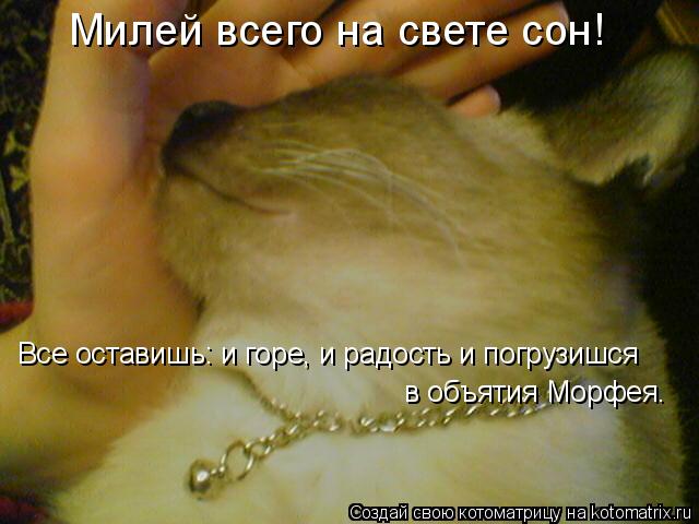 Милей всего на свете сон! Все оставишь: и горе, и радость и погрузишся в объятия Морфея.... Котоматрица: Милей всего на свете сон! Все оставишь: и горе, и радость и погрузишся в объятия Морфея.