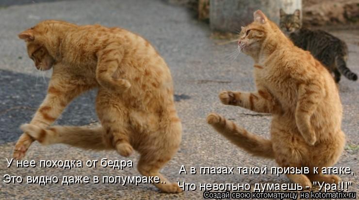 У нее походка от бедра А в глазах такой призыв к атаке, Что невольно думаешь - "Ура!!!" Это видно ... Котоматрица: У нее походка от бедра А в глазах такой призыв к атаке, Что невольно думаешь - "Ура!!!" Это видно даже в полумраке..