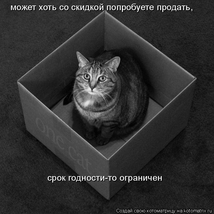 может хоть со скидкой попробуете продать, срок годности-то ограничен... Котоматрица: может хоть со скидкой попробуете продать, срок годности-то ограничен