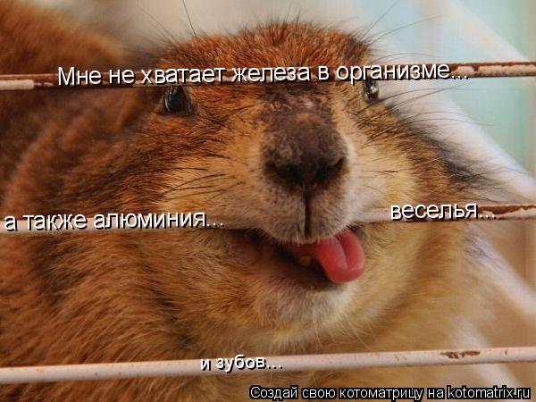 Мне не хватает железа в организме... а также алюминия... веселья... и зубов...... Котоматрица: Мне не хватает железа в организме... а также алюминия... веселья... и зубов...