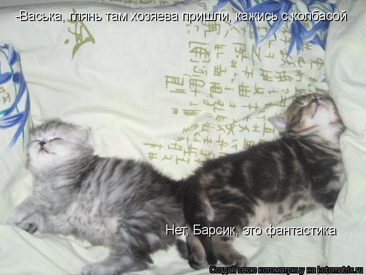 -Васька, глянь там хозяева пришли, кажись с колбасой Нет, Барсик, это фантастика... Котоматрица: -Васька, глянь там хозяева пришли, кажись с колбасой Нет, Барсик, это фантастика
