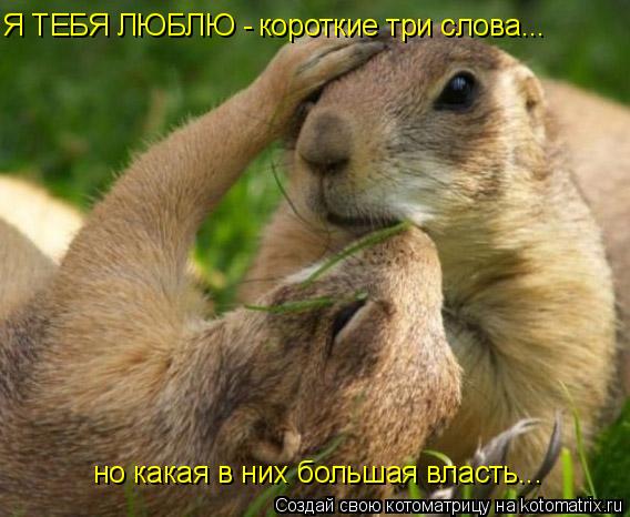 Я ТЕБЯ ЛЮБЛЮ - короткие три слова... но какая в них большая власть...... Котоматрица: Я ТЕБЯ ЛЮБЛЮ - короткие три слова... но какая в них большая власть...