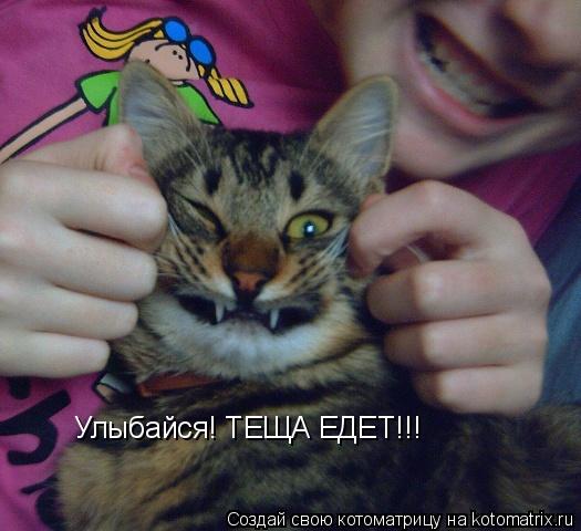 Улыбайся! ТЕЩА ЕДЕТ!!!... Котоматрица: Улыбайся! ТЕЩА ЕДЕТ!!!