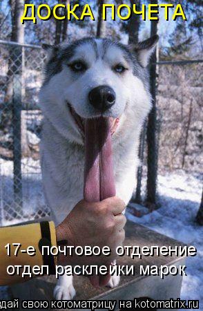 17-е почтовое отделение отдел расклейки марок ДОСКА ПОЧЕТА... Котоматрица: 17-е почтовое отделение отдел расклейки марок ДОСКА ПОЧЕТА