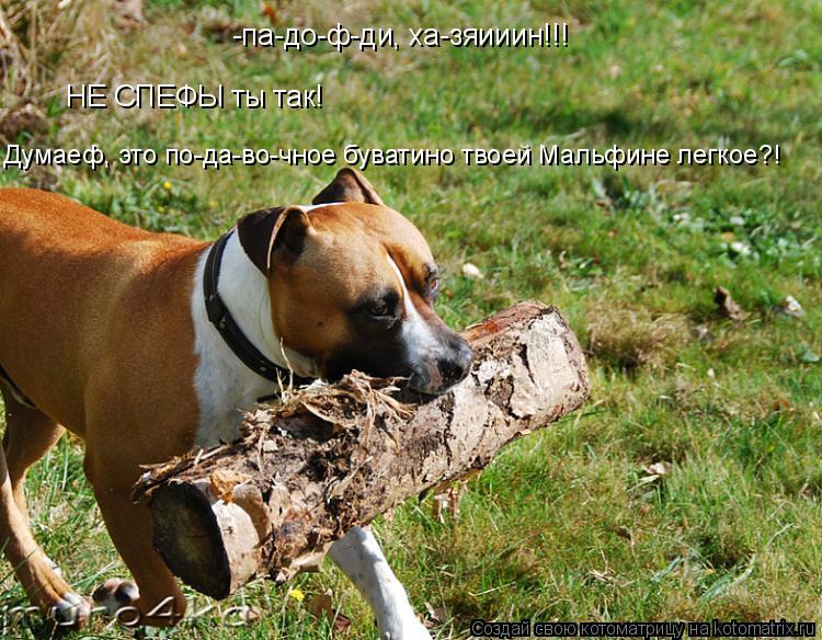 -па-до-ф-ди, ха-зяииин!!! НЕ СПЕФЫ ты так! Думаеф, это по-да-во-чное буватино твоей Мальфине легкое?!... Котоматрица: -па-до-ф-ди, ха-зяииин!!! НЕ СПЕФЫ ты так! Думаеф, это по-да-во-чное буватино твоей Мальфине легкое?!