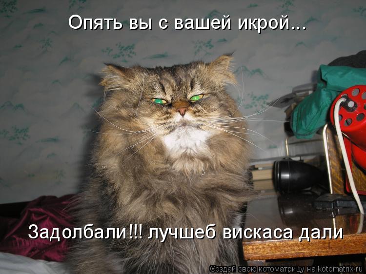Опять вы с вашей икрой... Задолбали!!! лучшеб вискаса дали... Котоматрица: Опять вы с вашей икрой... Задолбали!!! лучшеб вискаса дали