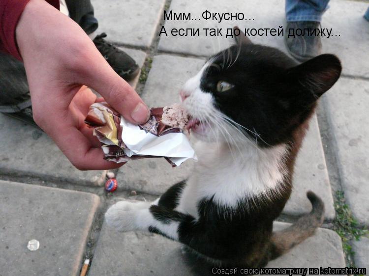 Ммм...Фкусно... А если так до костей долижу...... Котоматрица: Ммм...Фкусно... А если так до костей долижу...