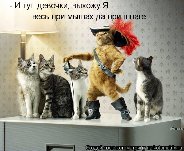 - И тут, девочки, выхожу Я... весь при мышах да при шпаге.... весь при мышах да при шпаге....... Котоматрица: - И тут, девочки, выхожу Я... весь при мышах да при шпаге.... весь при мышах да при шпаге....