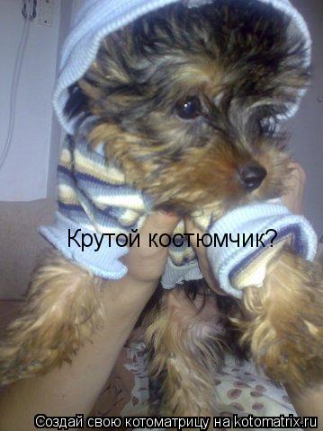 Крутой костюмчик?... Котоматрица: Крутой костюмчик?