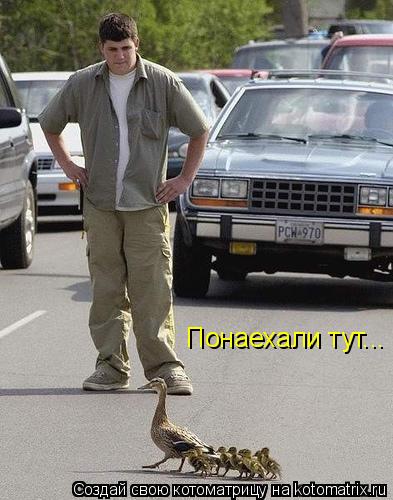 Понаехали тут...... Котоматрица: Понаехали тут...