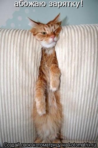 абожаю зарятку!... Котоматрица: абожаю зарятку!
