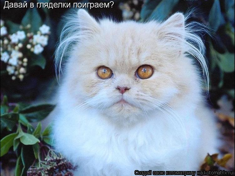 Давай в гляделки поиграем?... Котоматрица: Давай в гляделки поиграем?