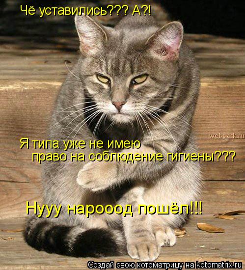 Чё уставились??? А?! Я типа уже не имею право на соблюдение гигиены??? Нууу нарооод пошёл!!!... Котоматрица: Чё уставились??? А?! Я типа уже не имею право на соблюдение гигиены??? Нууу нарооод пошёл!!!