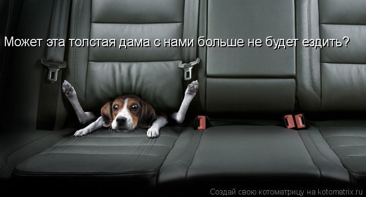 Может эта толстая дама с нами больше не будет ездить?... Котоматрица: Может эта толстая дама с нами больше не будет ездить?