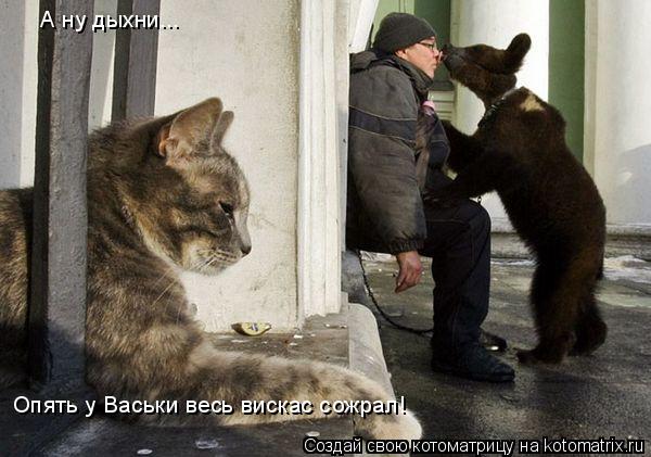 А ну дыхни... Опять у Васьки весь вискас сожрал!... Котоматрица: А ну дыхни... Опять у Васьки весь вискас сожрал!