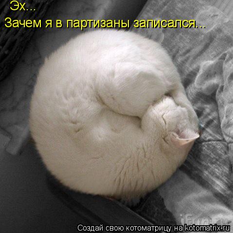 Эх... Зачем я в партизаны записался...... Котоматрица: Эх... Зачем я в партизаны записался...