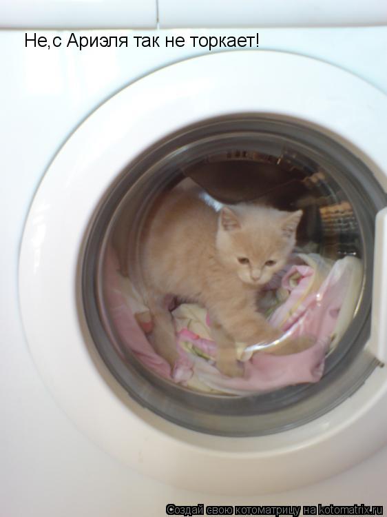 Не,с Ариэля так не торкает!... Котоматрица: Не,с Ариэля так не торкает!