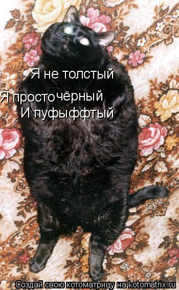 Я не толстый Я просто чёрный И пуфыффтый... Котоматрица: Я не толстый Я просто чёрный И пуфыффтый