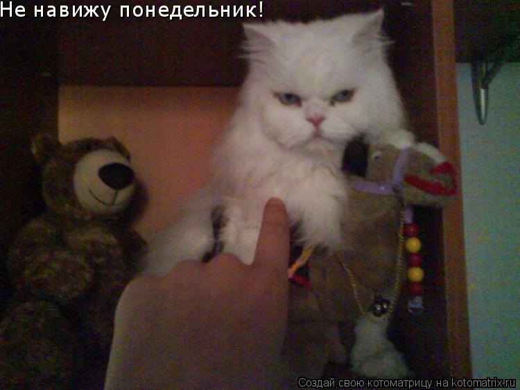 Не навижу понедельник!... Котоматрица: Не навижу понедельник!